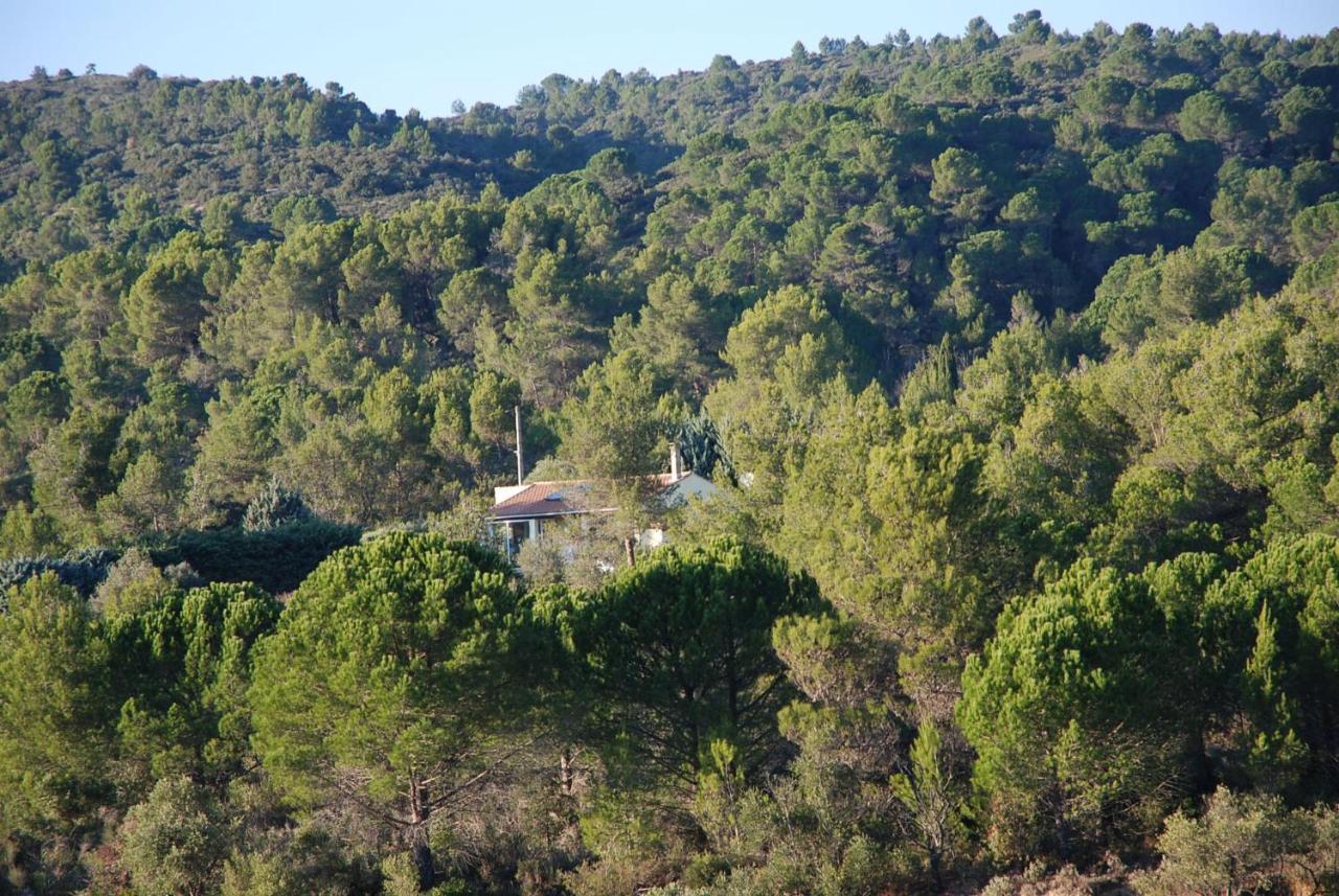 La Petite Cigale Villa Cesseras Exterior photo