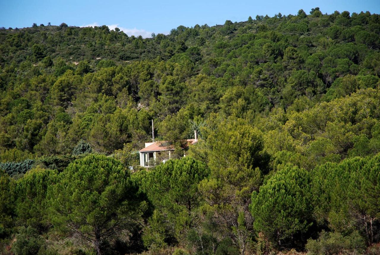 La Petite Cigale Villa Cesseras Exterior photo